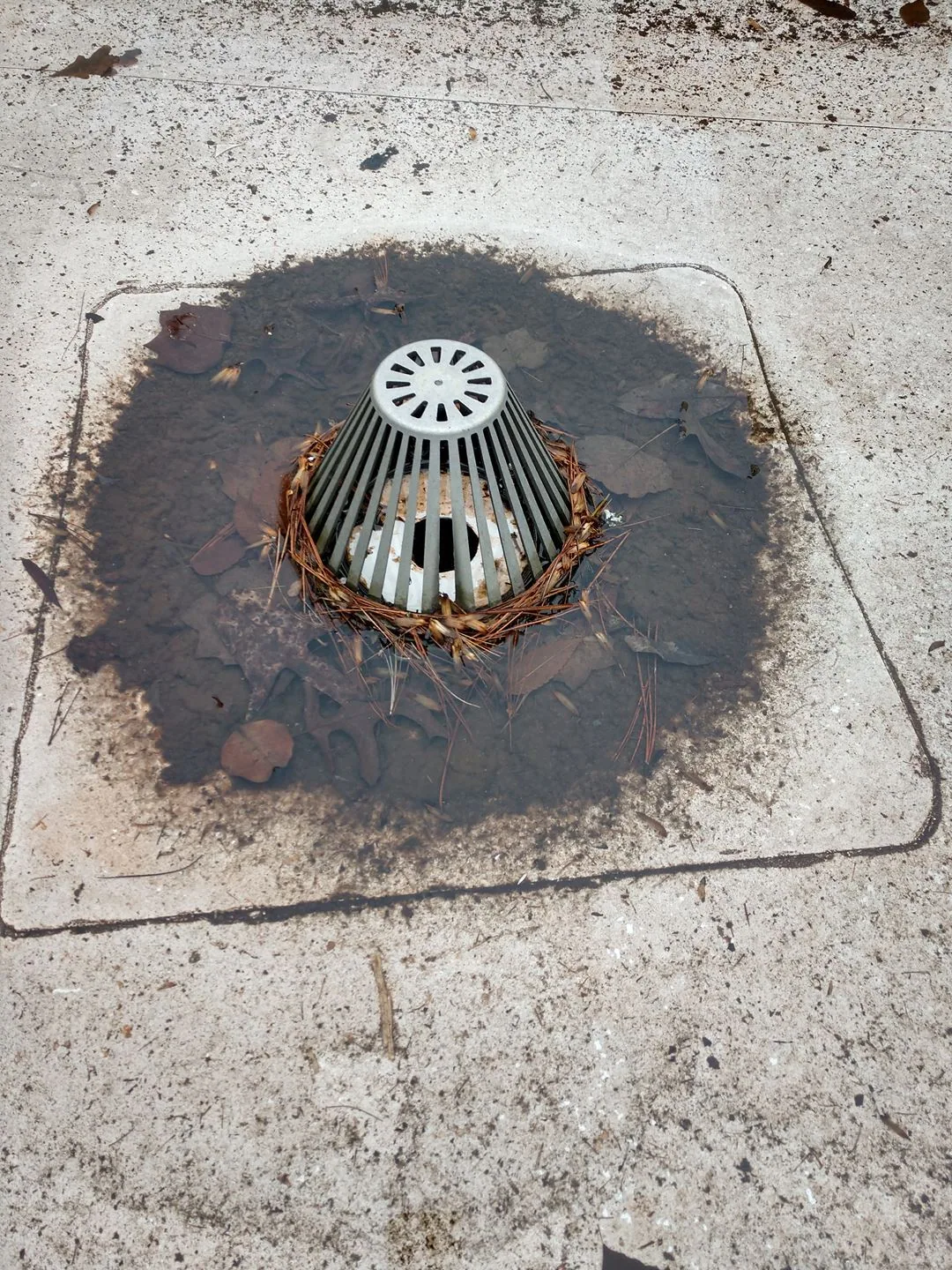 Commercial Roof Drain and Scupper Repair in Visalia, CA